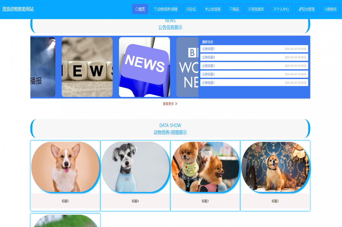基于Java（Springboot）流浪动物救助网站-毕设猫
